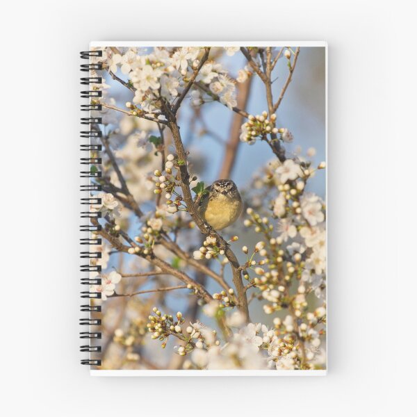 Item preview, Little Bird in Spring Blossoms designed and sold by Vicki Johnson.