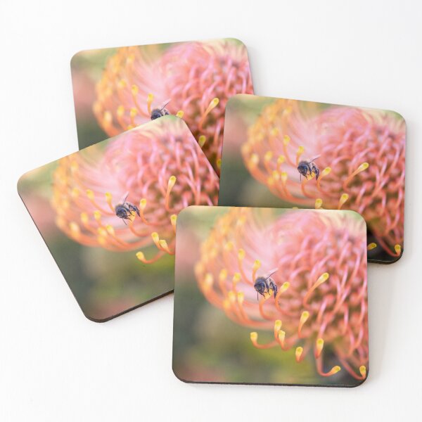 Item preview, Beauty of the Bee in the Leucospermum cordifolia designed and sold by imaginethis.