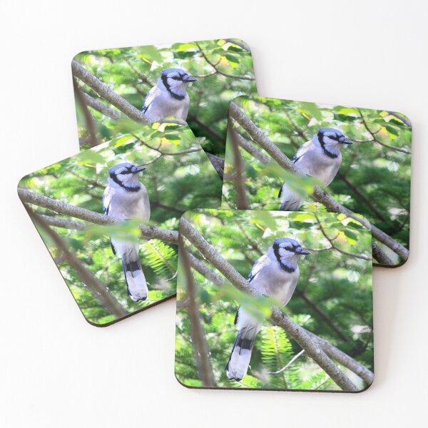 Item preview, Blue jay friend designed and sold by PhyllisG-Art.