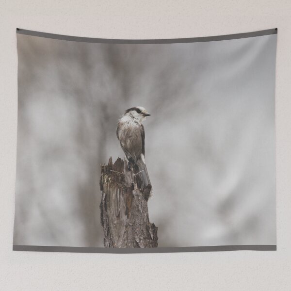 Item preview, Perched Grey Jay Bird designed and sold by Natural-Habitat.