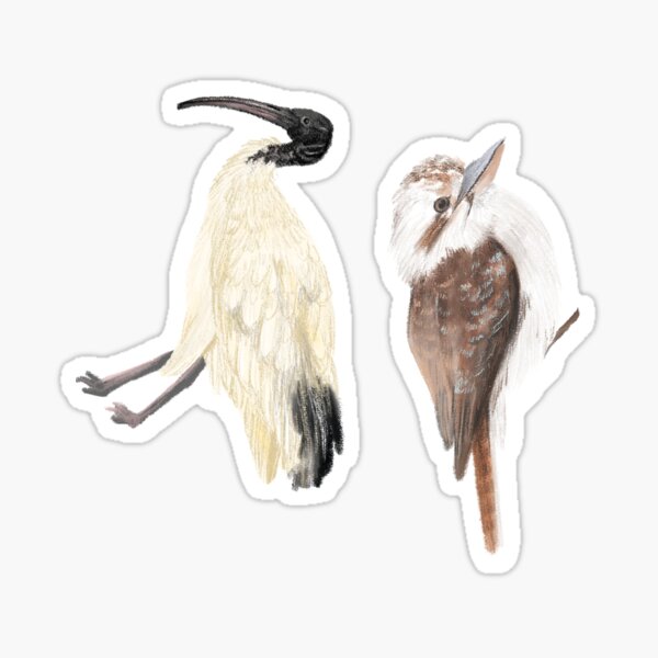 Item preview, Bin Chicken and Kookaburra designed and sold by Kayla Reay.