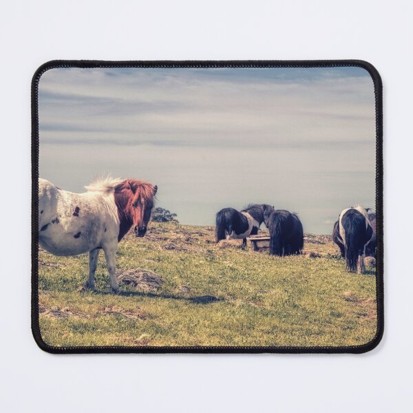 Item preview, Shetland Pony Mares on a Hillside designed and sold by Vicki Johnson.