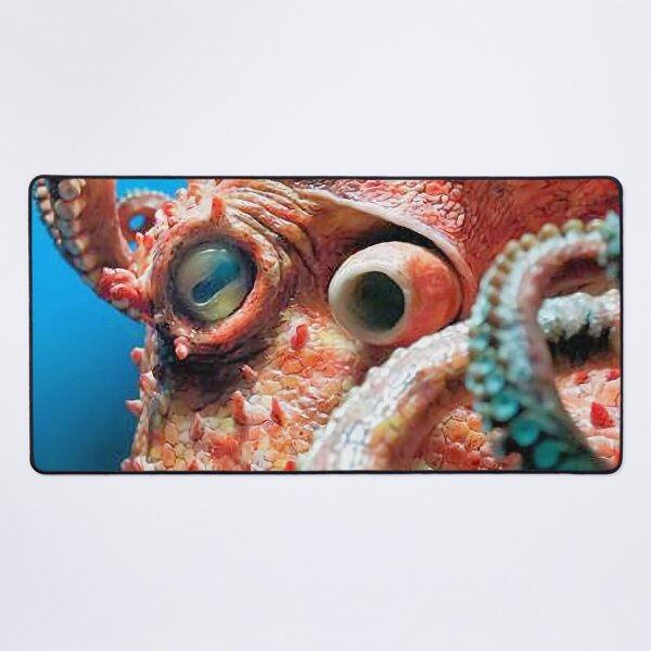 Item preview, Octopus designed and sold by MorningFive.