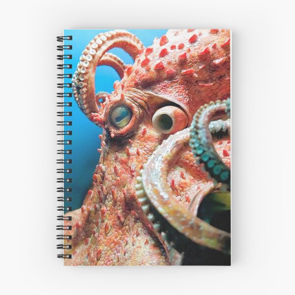 Item preview, Octopus designed and sold by MorningFive.