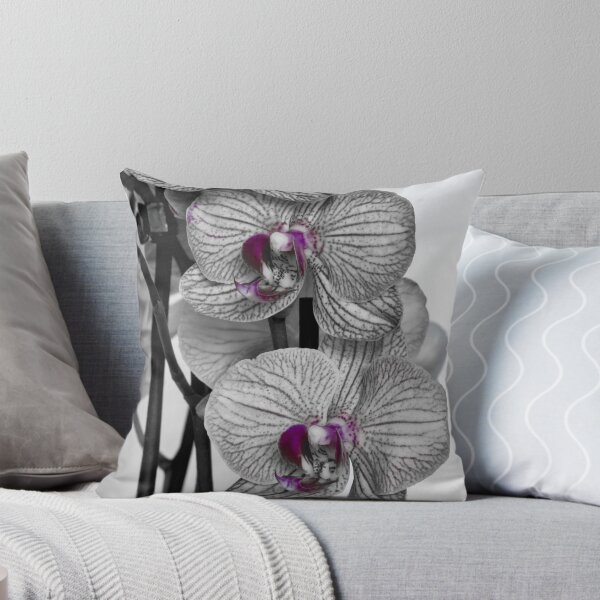 Item preview, A splash of purple designed and sold by Graeme  Hunt.