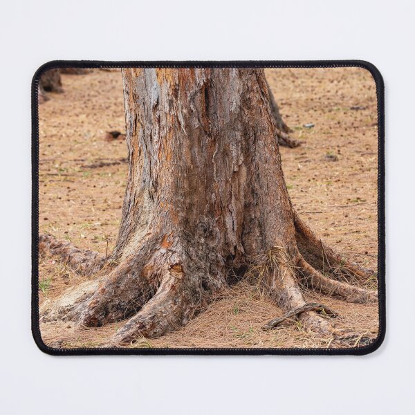 Item preview, tropical casuarina tree trunk designed and sold by rajeshbac.