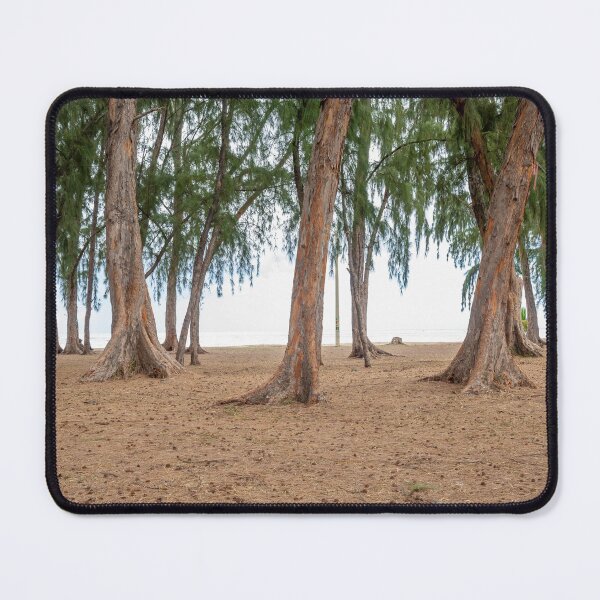 Item preview, Casuarina plants on the beach designed and sold by rajeshbac.