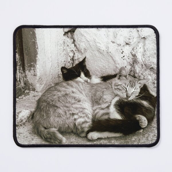 Item preview, Cats of Santorini - Best Friends designed and sold by Sue McLeod.