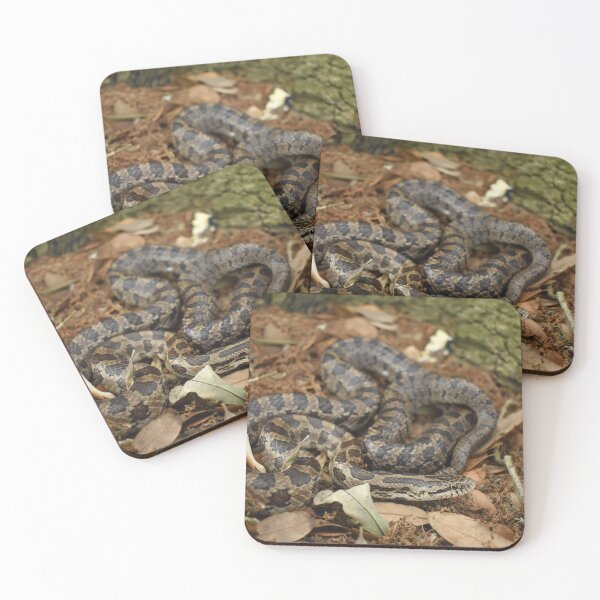 Item preview, Prairie Kingsnake Print designed and sold by Paul-Prints.