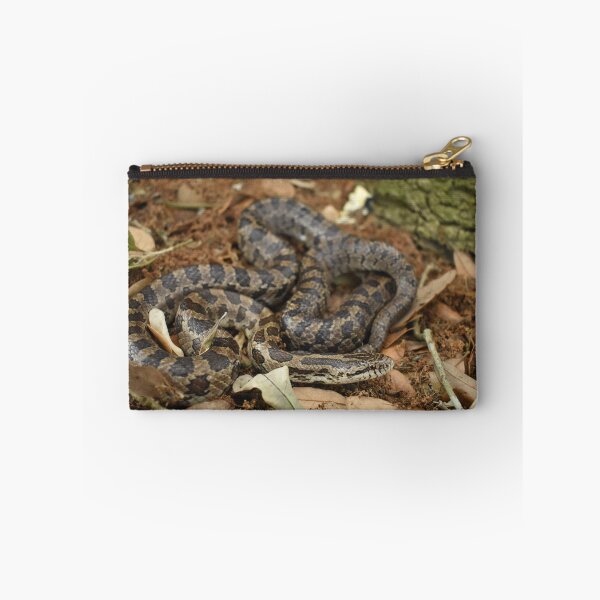 Item preview, Prairie Kingsnake Print designed and sold by Paul-Prints.