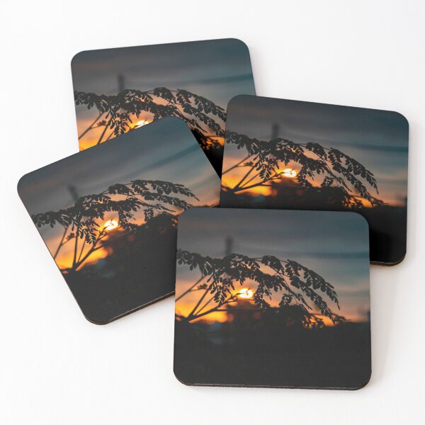 Item preview, Sunset behind moringa plants. designed and sold by rajeshbac.