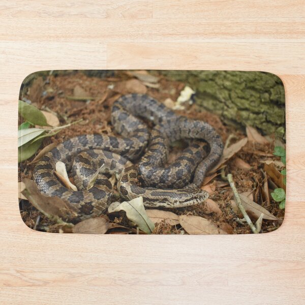 Item preview, Prairie Kingsnake Print designed and sold by Paul-Prints.