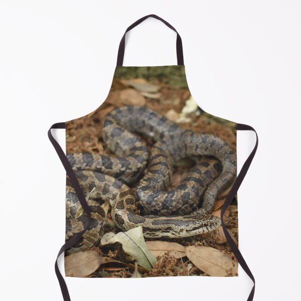 Item preview, Prairie Kingsnake Print designed and sold by Paul-Prints.