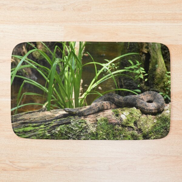 Item preview, Brown Water Snake Closeup Print designed and sold by Paul-Prints.