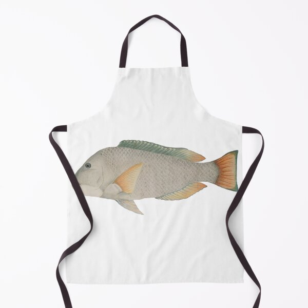 Item preview, Baldchin Groper designed and sold by Taylor Grosse.