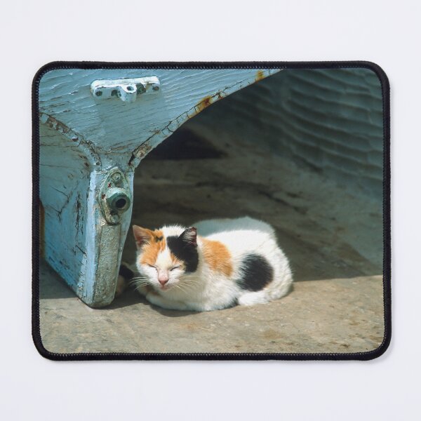 Item preview, Cats of the Cyclades - Sunlover designed and sold by Sue McLeod.