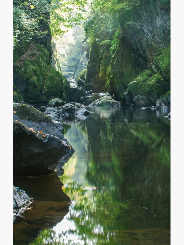 Wales - The Fairy Glen , Betws-y-Coed by AngelaBarnett