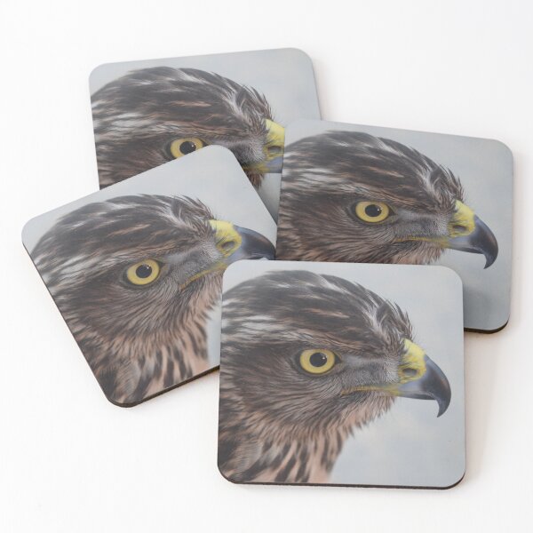 Item preview, Hawk photo designed and sold by redgoch.