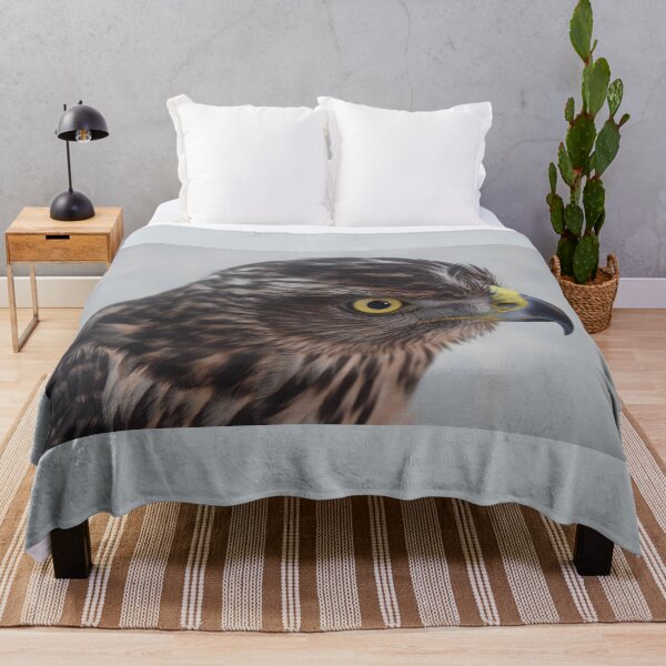 Item preview, Hawk photo designed and sold by redgoch.