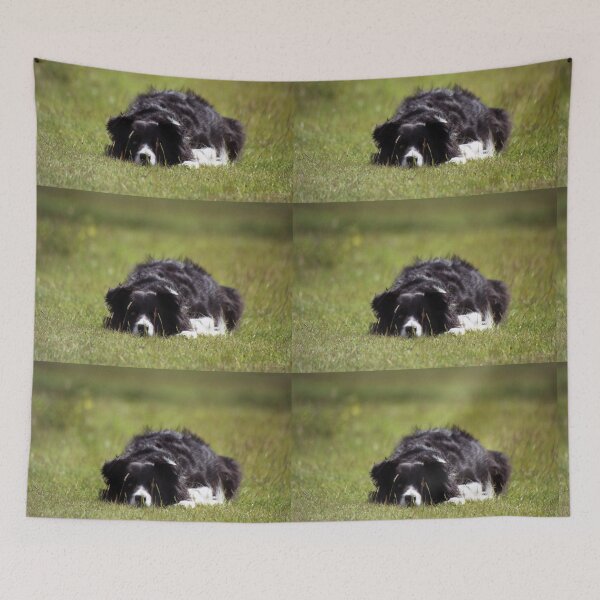 Item preview, Jess designed and sold by Michael Haslam.