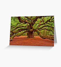 Angel Oak Arms Open Wide Greeting Card