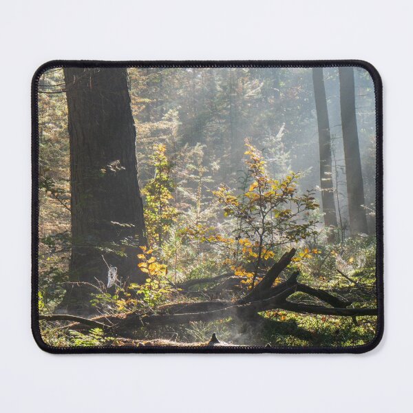 Fog fumes in the forest Mouse Pad