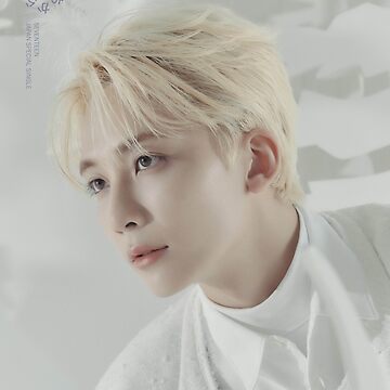 SEVENTEEN うちわ JEONGHAN POWER OF LOVE SEVENTEEN power of love JEONGHAN うちわ SEVENTEEN うちわ