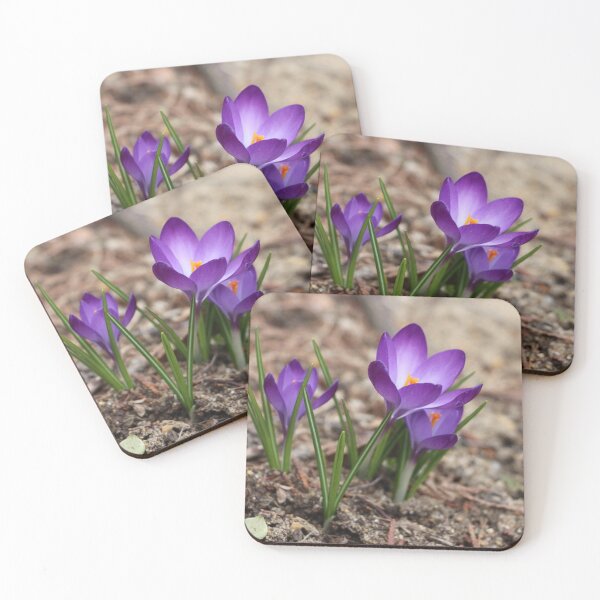 Item preview, Pretty Little Spring Time Purple Crocuses designed and sold by JariHawk.