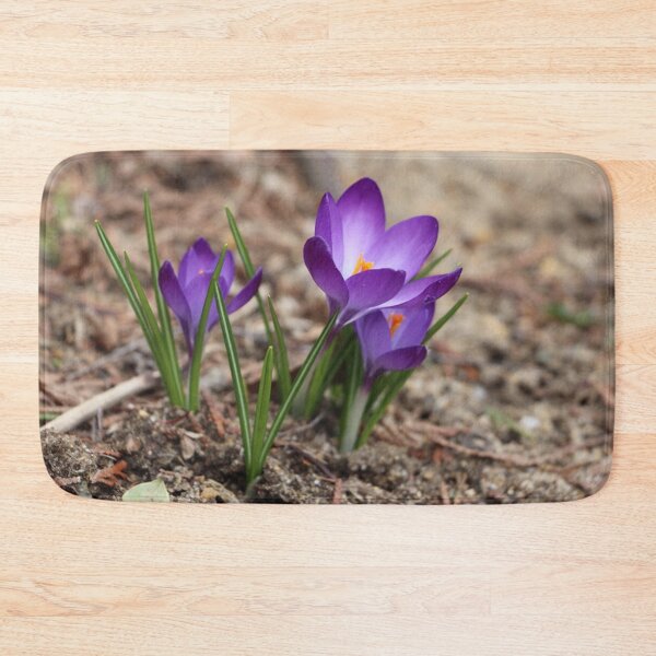 Item preview, Pretty Little Spring Time Purple Crocuses designed and sold by JariHawk.