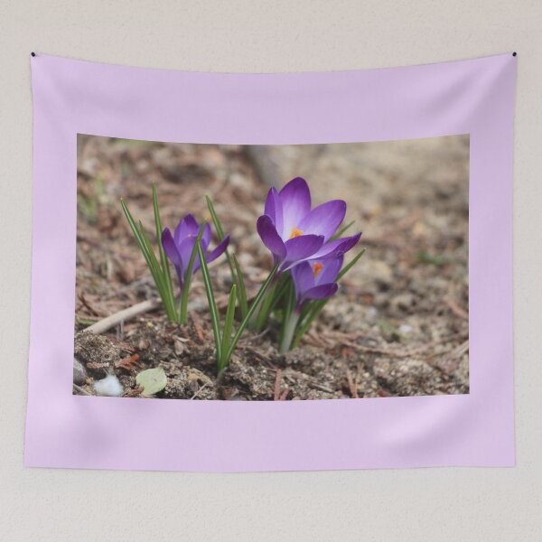 Item preview, Pretty Little Spring Time Purple Crocuses designed and sold by JariHawk.