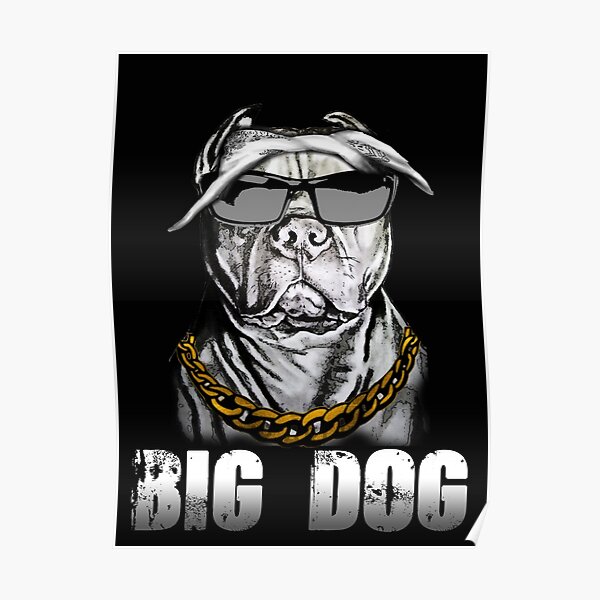 Big Dogs, Shirts, Big Dogs Mens Vtg Baseball Jersey Size S