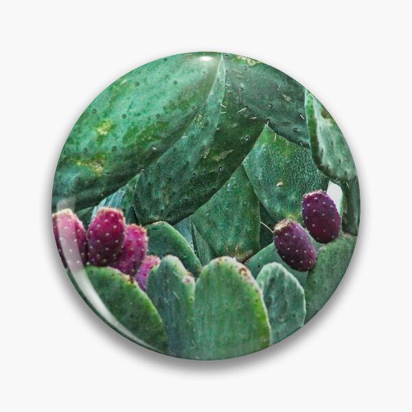 Artikelvorschau, Feigenkaktus Pflanze Nopal Reife Früchte entworfen und verkauft von worldways.