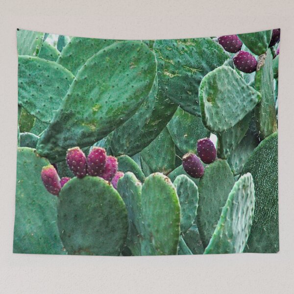 Item preview, Prickly Pear Cactus Plant Nopal Ripe Fruits designed and sold by worldways.