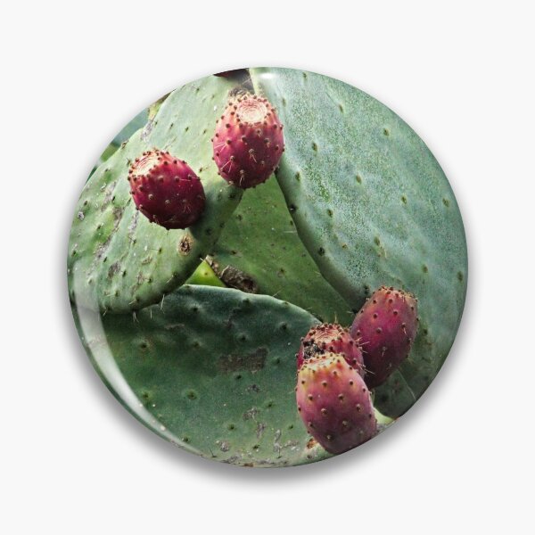 Artikelvorschau, Feigenkaktus Reife Früchte Kaktuspflanze Nopal entworfen und verkauft von worldways.