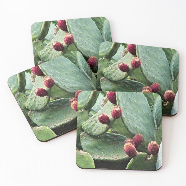 Item preview, Prickly Pear Ripe Fruits Cactus Plant Nopal designed and sold by worldways.