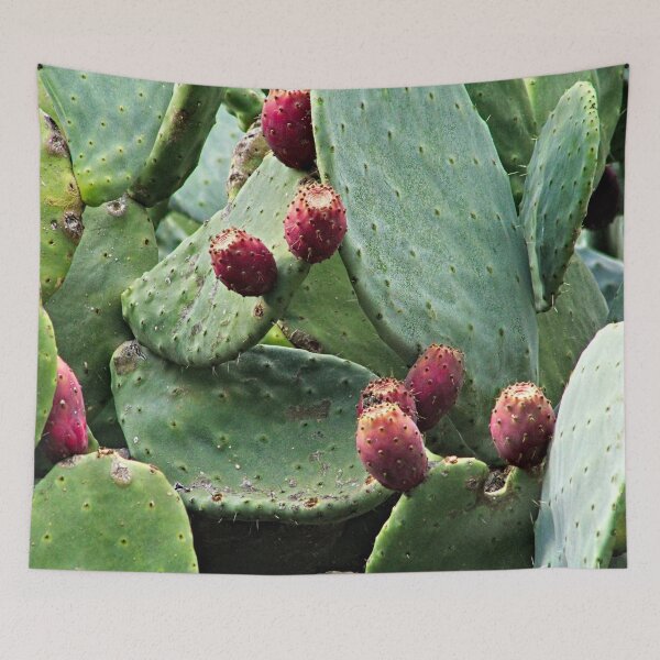 Item preview, Prickly Pear Ripe Fruits Cactus Plant Nopal designed and sold by worldways.