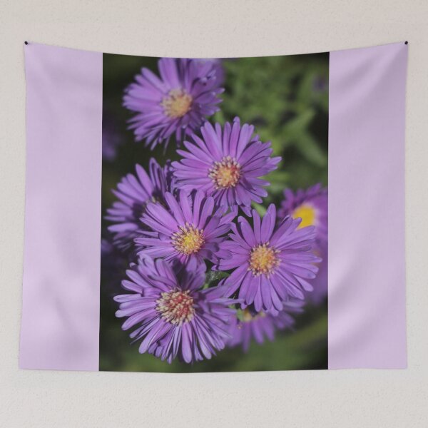Item preview, Otoño Asters Floración Violeta Púrpura designed and sold by JariHawk.