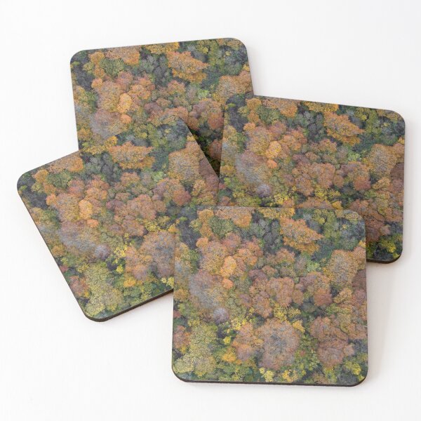 Item preview, Irish Autumnal Forest designed and sold by Ireland Photography.