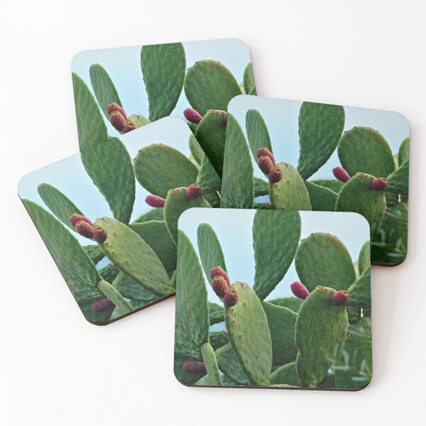 Item preview, Prickly Pear Nopal Cactus Ripe Fruits designed and sold by worldways.