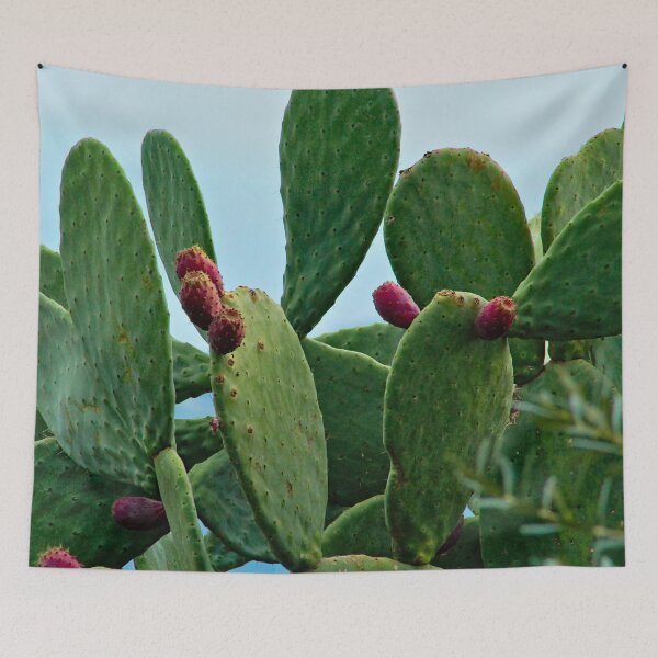 Item preview, Prickly Pear Nopal Cactus Ripe Fruits designed and sold by worldways.