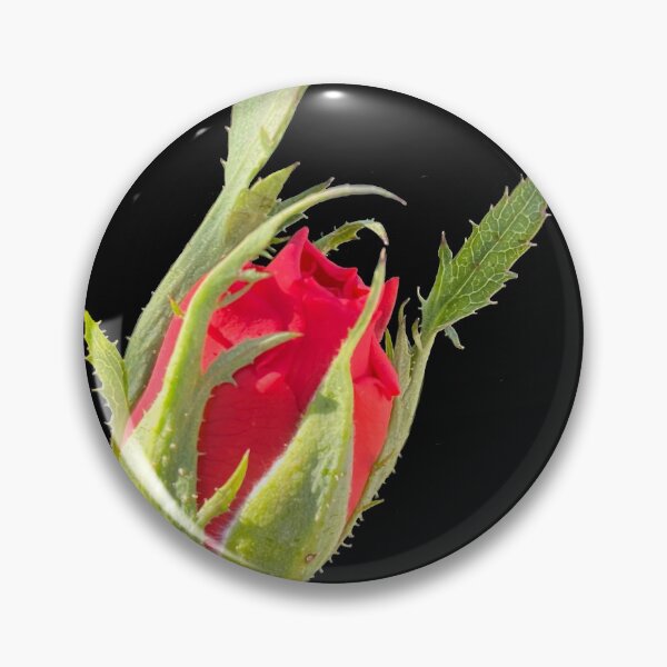 Item preview, Rose designed and sold by pinkyjainpan.