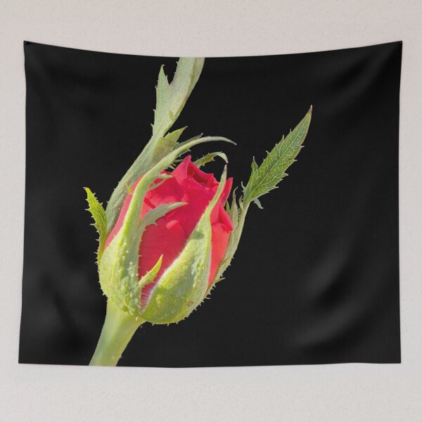 Item preview, Rose designed and sold by pinkyjainpan.