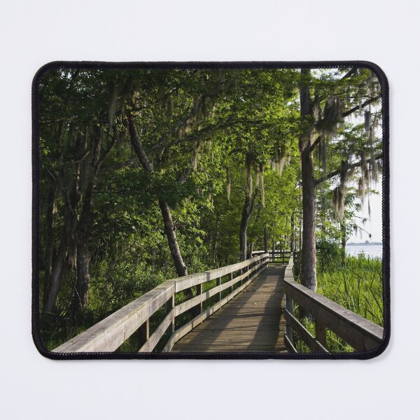 Item preview, Historic Blakeley State Park located on the Tensaw River in Alabama is very lush in the summertime designed and sold by OrcaNature.