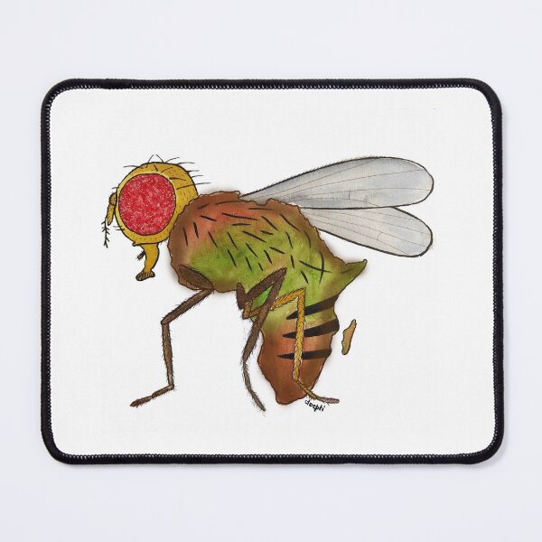 Item preview, Drosophila from Africa designed and sold by deeptitrivedi.