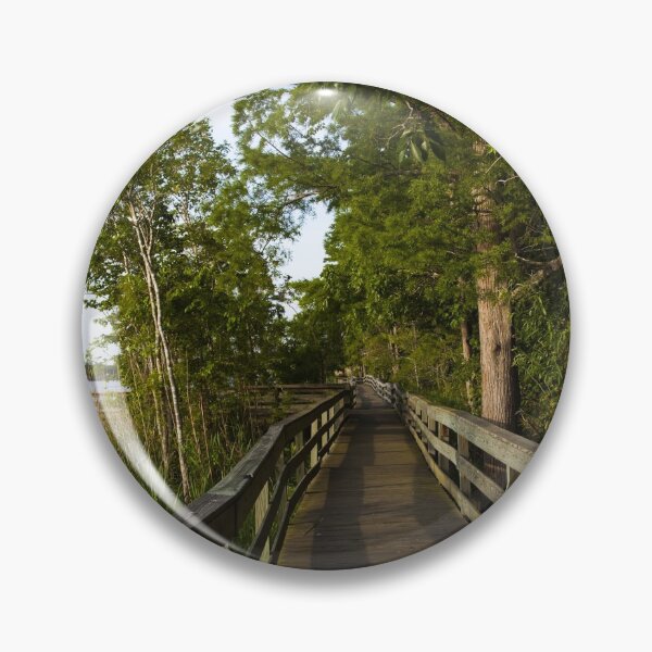 Artikelvorschau, Der historische Blakeley State Park am Tensaw River in Alabama ist im Sommer sehr üppig entworfen und verkauft von OrcaNature.