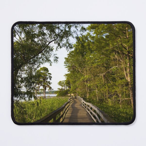 Item preview, Historic Blakeley State Park located on the Tensaw River in Alabama is very lush in the summertime designed and sold by OrcaNature.