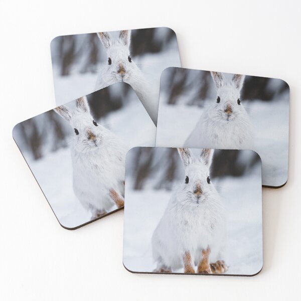 Item preview, Snow Shoe Hare designed and sold by Michael Cummings.