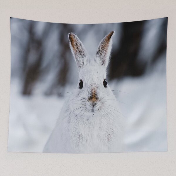 Item preview, Snow Shoe Hare designed and sold by Michael Cummings.