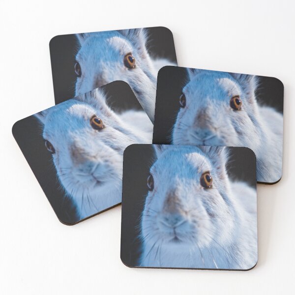 Item preview, Snow Show Hare designed and sold by Michael Cummings.