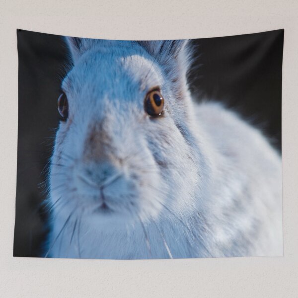 Item preview, Snow Show Hare designed and sold by Michael Cummings.